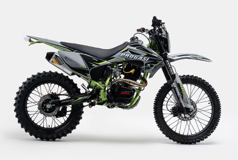 пальма елоф